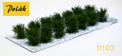 Nízké keře - mikro listí - Zelená břízová 14ks