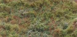 Lesní porost  - varianta A 27,5 x 20,5 cm