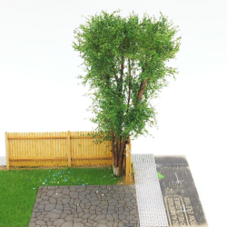 Vícekmenný strom  - do 10 cm - Zelený mix