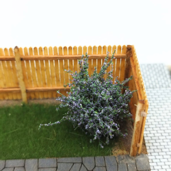 Low shrubs - flowering - Purple 14pcs